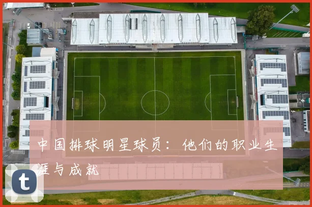 中国排球明星球员：他们的职业生涯与成就