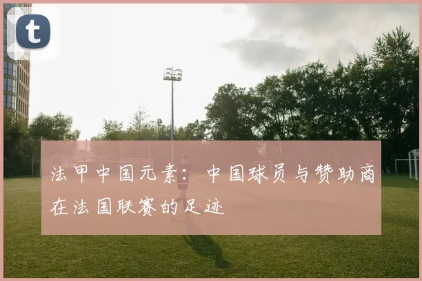 法甲中国元素:中国球员与赞助商在法国联赛的足迹
