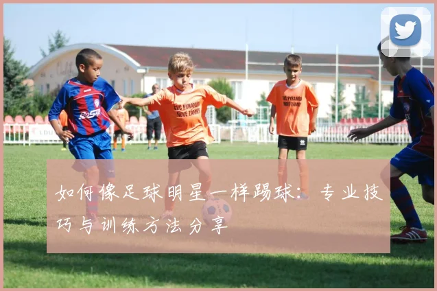 如何像足球明星一样踢球:专业技巧与训练方法分享