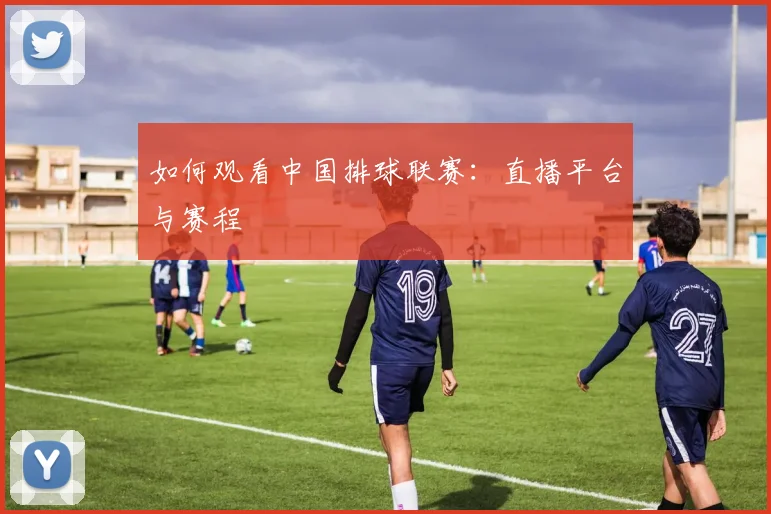 如何观看中国排球联赛:直播平台与赛程