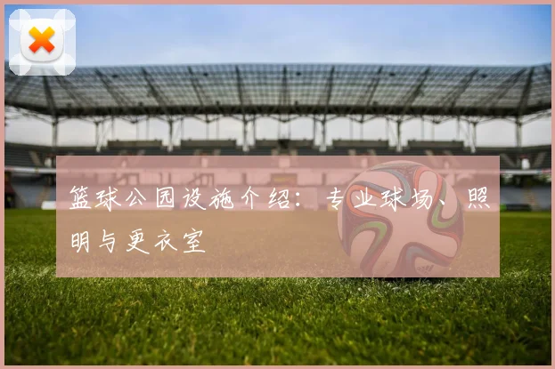 篮球公园设施介绍:专业球场、照明与更衣室