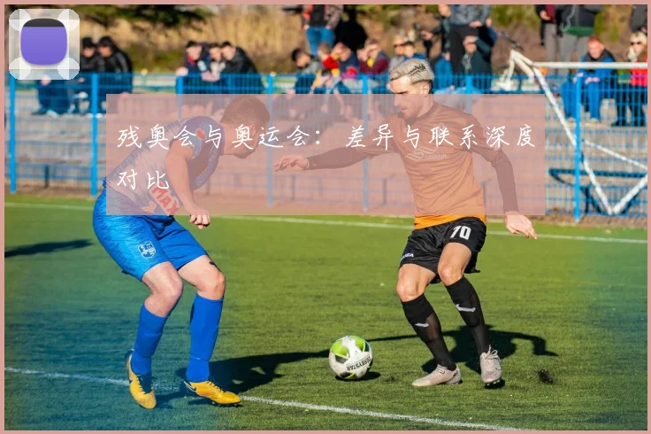 残奥会与奥运会：差异与联系深度对比